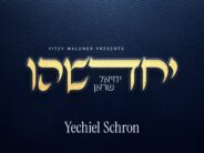 Yechadsheihu – Yechiel Schron