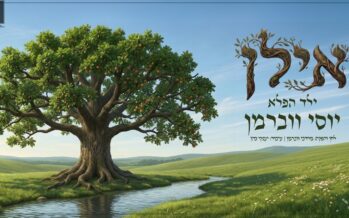 In Honor of Tu B’Shvat: The Prodigy Yossi Weberman In A New Single: “Ilan”