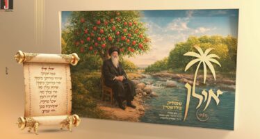 “Ilan” Shmulik Goldstein In The Yom Tov Atmosphere!