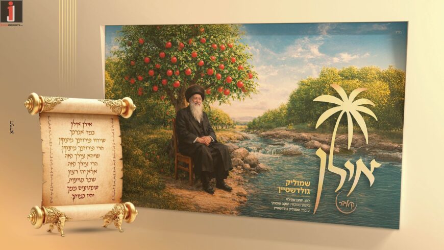 “Ilan” Shmulik Goldstein In The Yom Tov Atmosphere!