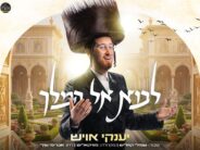 Month of Adar Opens: Yanky Ausch With New Single – “Lavo El Hamelech”