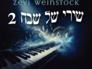 Zevi Weinstock Releases Shirei Shel Shevach 2
