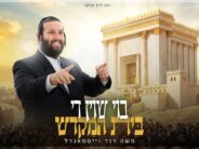 “Boy Shoin Di Beis Hamikdash” – Moshe David Weissmandel In A New Single