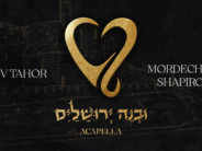 25 Years of Harmony: Lev Tahor Returns With A Celebratory Acapella Album