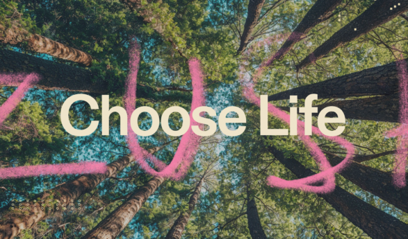 “Choose Life” — Zusha x Akiva