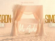 Aharon Berk & Simcha Leiner – Mi Adir (Avdecha)