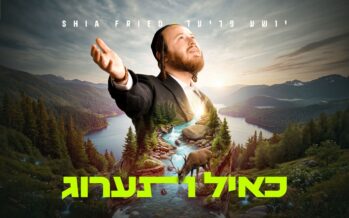 When The Mashal Becomes A Tefilla: Shia Fried In His Debut Single – “Ka’eyl Ta’arug”