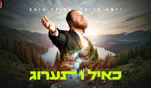 When The Mashal Becomes A Tefilla: Shia Fried In His Debut Single – “Ka’eyl Ta’arug”