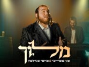 Yamim Noraim #1: Menny Streicher & Moishe Mendelsohn In A New Video “Meloich”