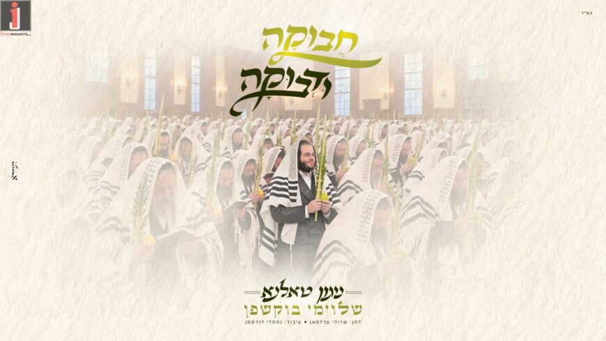 The Moving Talna Melody Released, Performed by Shloime Bukshpan